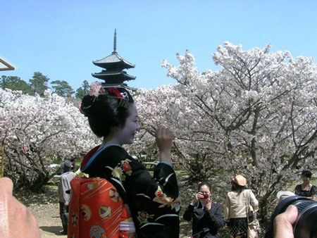 kyoto-of-spring2.jpg